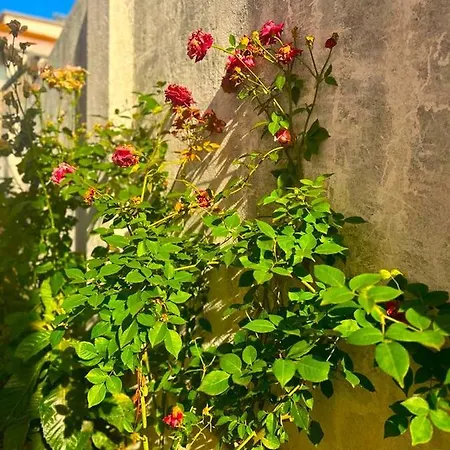 Casa de hóspedes Lisabonna