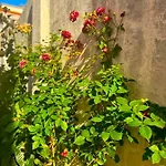 بيت ضيافة Lisabonna
